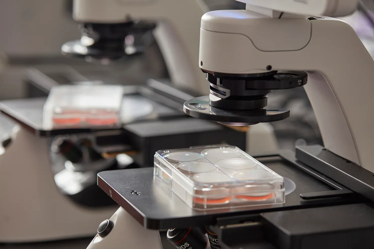 Biotechnology